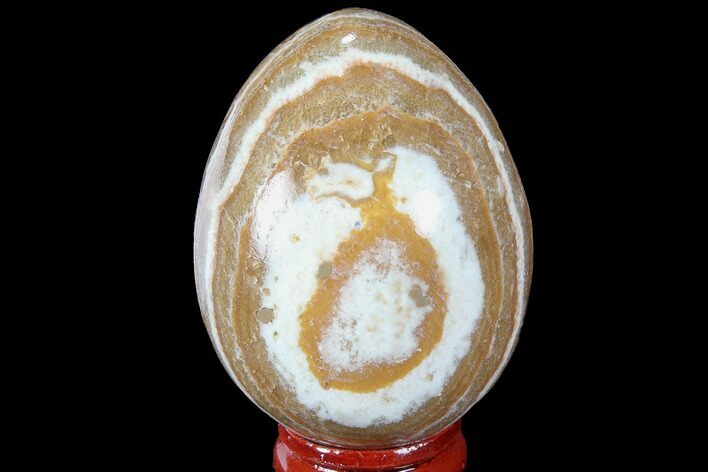 Polished, Banded Aragonite Egg - Morocco #98430